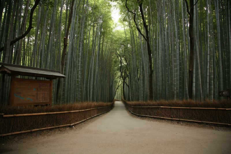 kyoto